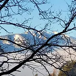 Seeblick Und Mehr